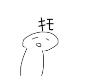 798253244