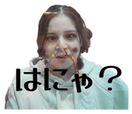 798253644