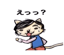 7982624