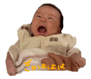 798269995