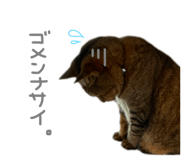 798272332