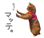 798272343