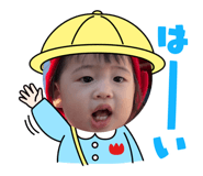 798272864