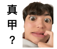 798273538