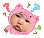 798277233