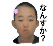 798277816