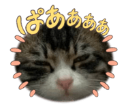 798287037