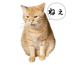 798288300