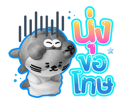 ลายที่ 29