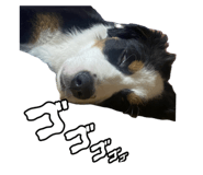 798290890