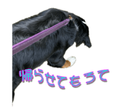 798290893