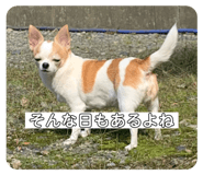 798304125