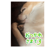 798304126