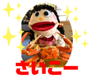 798304209