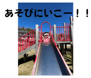 798304212