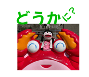 798304213