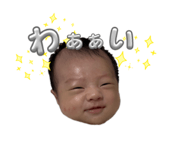 798307241