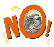 798307419
