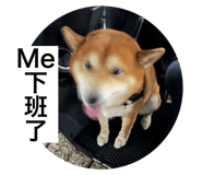 798359994