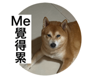 798359996