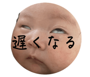 798364262