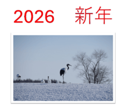 798365411