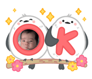 798368494