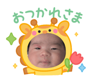 798368504