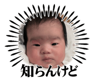 798368524