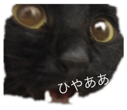 798370949