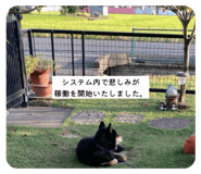798372456