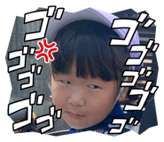 798374446