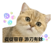 798375045