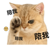 798375051