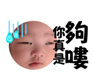798375237