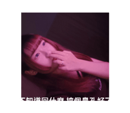 798375515