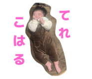 798379041