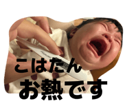 798379046