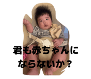 798379053