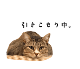 798381671