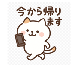 798394472