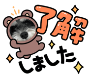 798400616