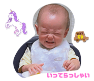798406082