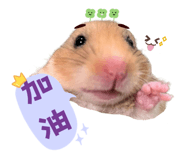 798406120