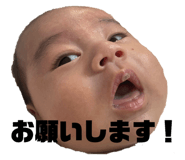 798407303