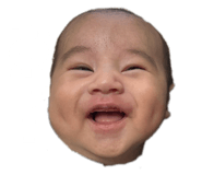 798407311