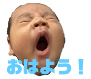 798407312