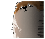 798408480