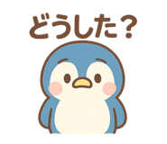 798408888