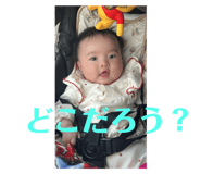 798409935